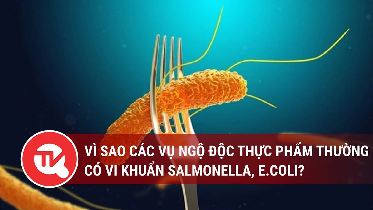 Vì sao các vụ ngộ độc thực phẩm thường có vi khuẩn Salmonella, E.coli?