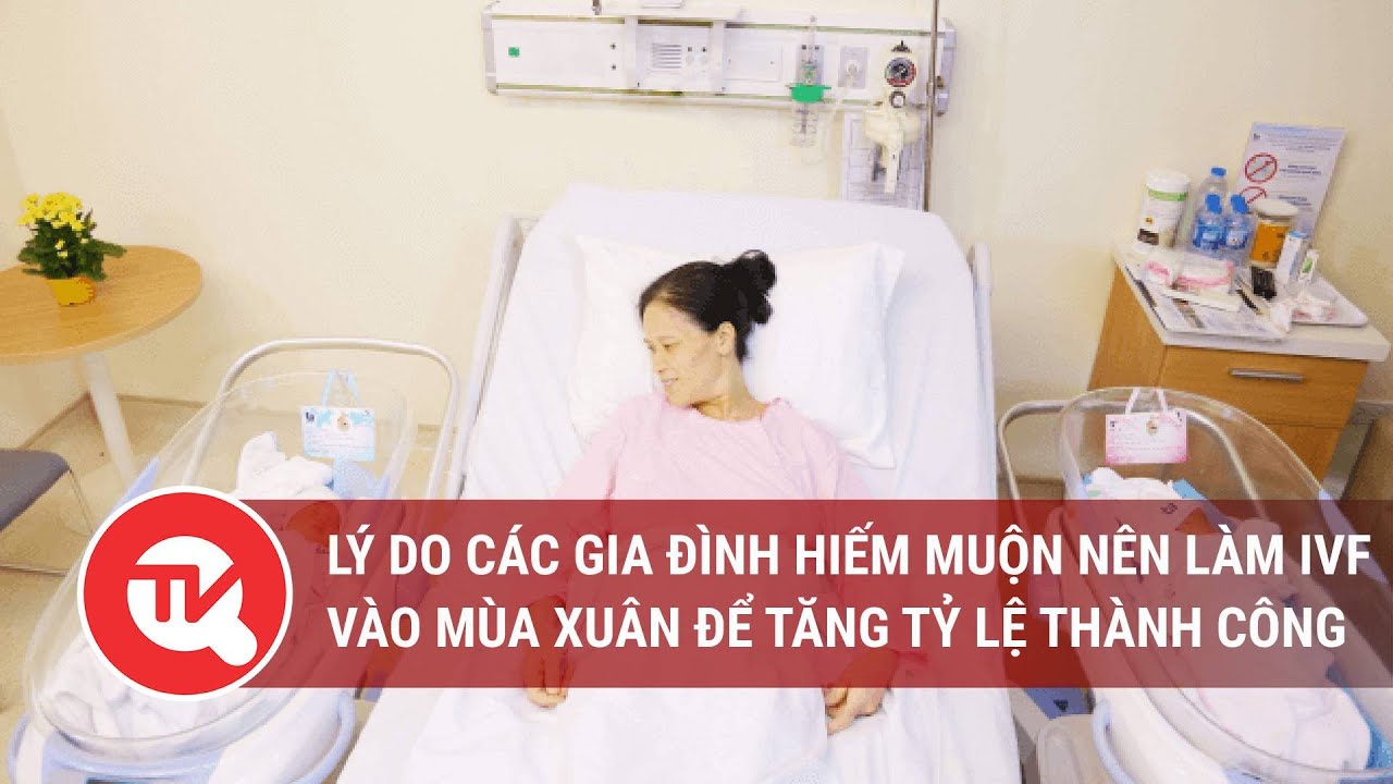 Lý do các gia đình hiếm muộn nên làm IVF vào mùa xuân để tăng tỷ lệ thành công