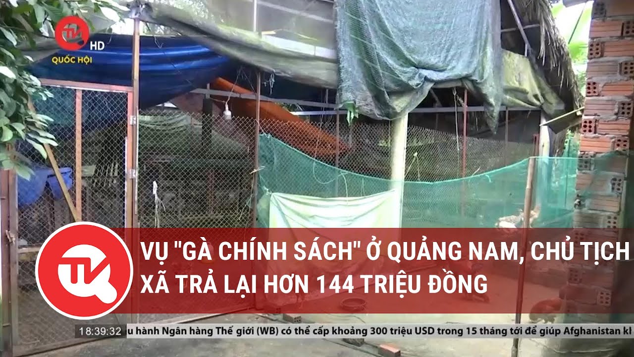 Vụ "gà chính sách" ở Quảng Nam, chủ tịch xã trả lại hơn 144 triệu đồng Truyền hình Quốc hội Việt Nam