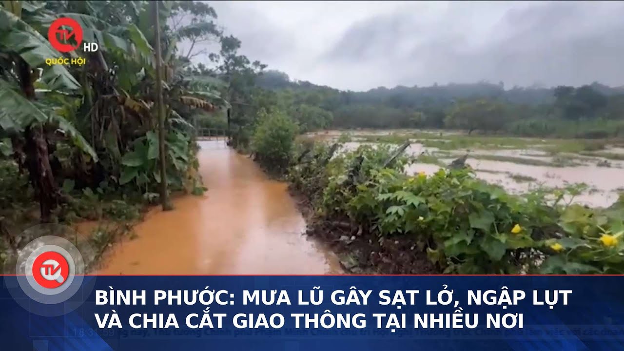 Bình Phước: Mưa lũ gây sạt lở, ngập lụt và chia cắt giao thông tại nhiều nơi