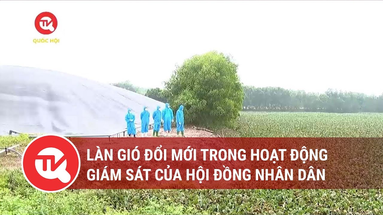 Làn gió đổi mới trong hoạt động giám sát của Hội đồng Nhân dân | Truyền hình Quốc hội Việt Nam