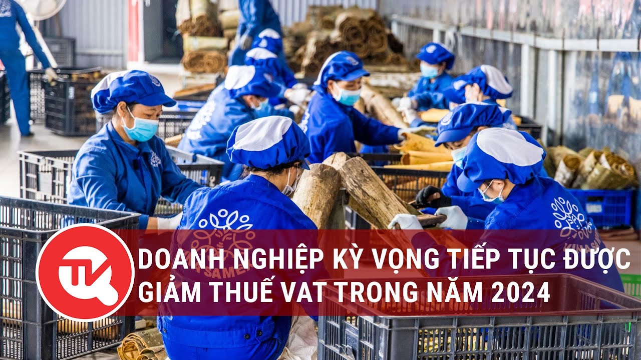 Doanh nghiệp kỳ vọng tiếp tục được giảm thuế VAT trong năm 2024 | Truyền hình Quốc hội Việt Nam