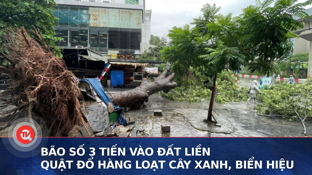 Bão số 3 tiến vào đất liền, quật đổ hàng loạt cây xanh, biển hiệu | Thời sự 17h ngày 7/9