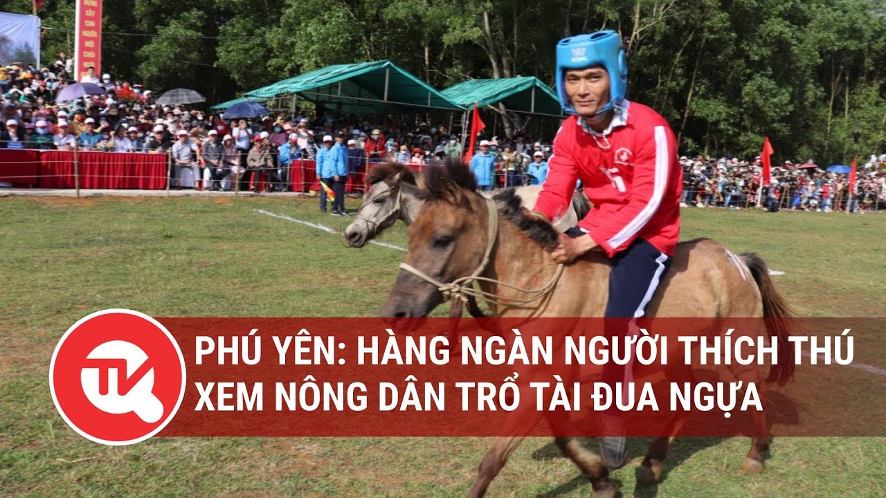 Phú Yên: Hàng ngàn người thích thú xem nông dân trổ tài đua ngựa  | Truyền hình Quốc hội Việt Nam