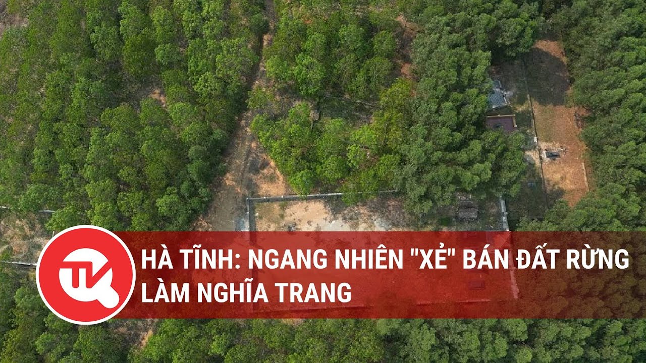 Hà Tĩnh: Ngang nhiên "xẻ" bán đất rừng làm nghĩa trang | Truyền hình Quốc hội Việt Nam