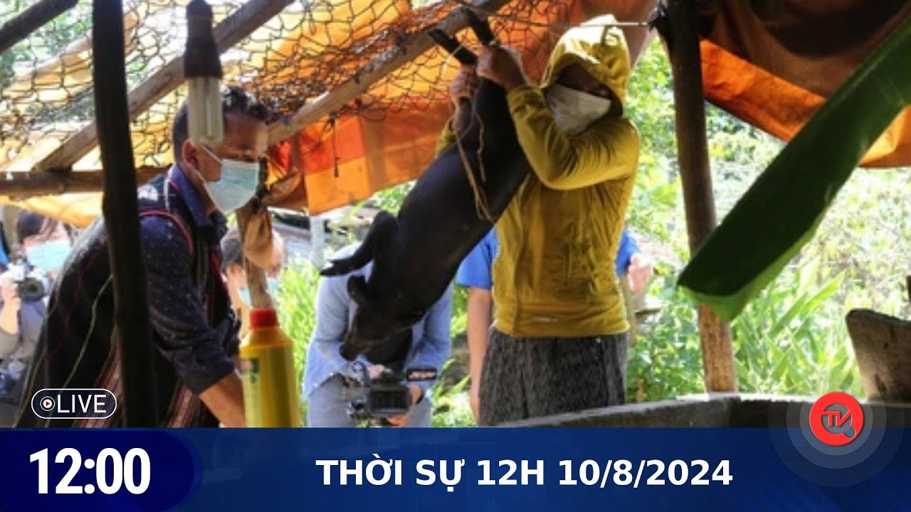 Thời sự 12h 10/8: Đà Nẵng khoanh vùng dập dịch tả lợn Châu Phi | Truyền hình Quốc hội Việt Nam