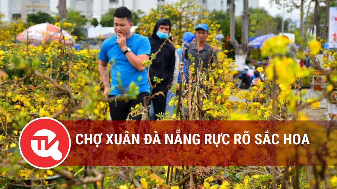 Chợ xuân Đà Nẵng rực rõ sắc hoa | Truyền hình Quốc hội Việt Nam