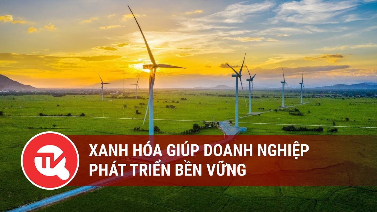 Xanh hóa giúp doanh nghiệp phát triển bền vững | Truyền hình Quốc hội Việt Nam