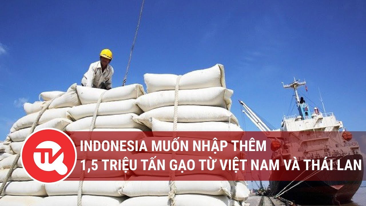 Indonesia muốn nhập thêm 1,5 triệu tấn gạo từ Việt Nam và Thái Lan | Truyền hình Quốc hội Việt Nam