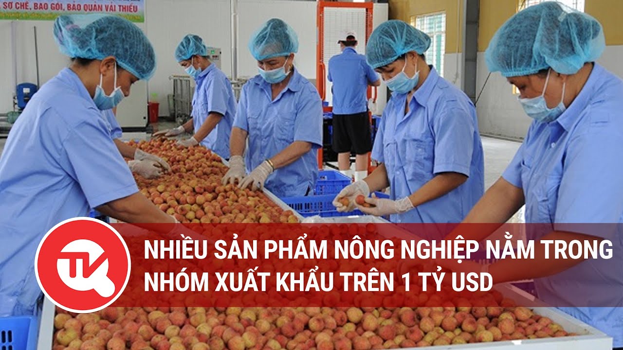 Nhiều sản phẩm nông nghiệp nằm trong nhóm xuất khẩu trên 1 tỷ USD | Truyền hình Quốc hội Việt Nam