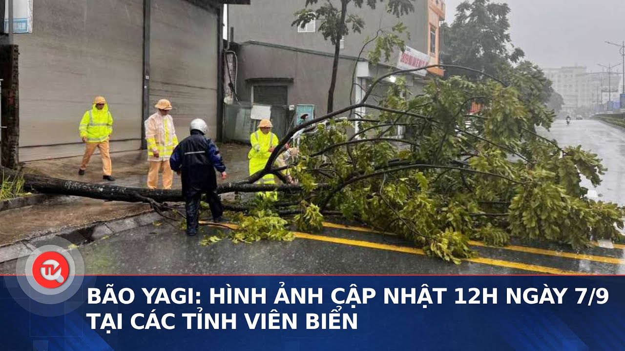 Bão Yagi: Hình ảnh cập nhật 12h ngày 7/9 tại các tỉnh viên biển | Truyền hình Quốc hội Việt Nam