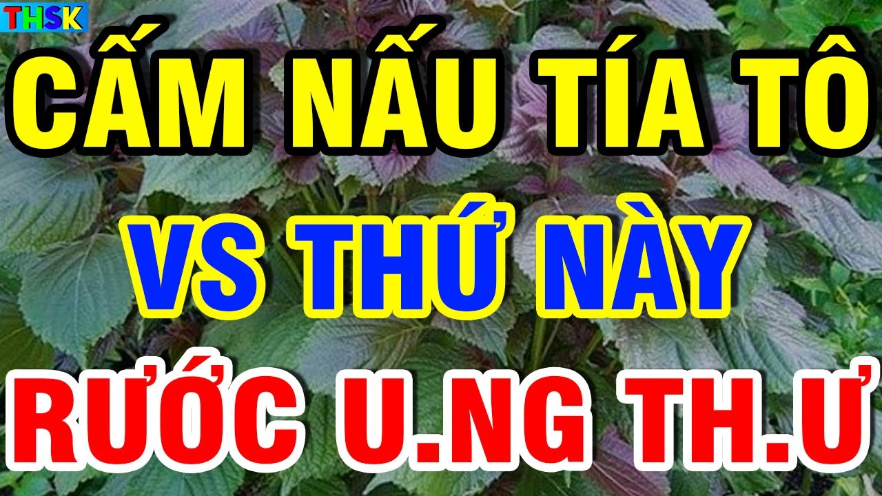 BS Cảnh Báo CẤM ĂN TÍA TÔ VS 3 Thứ Này Kẻo PHÁ G AN TH ẬN, Rước U NG TH Ư