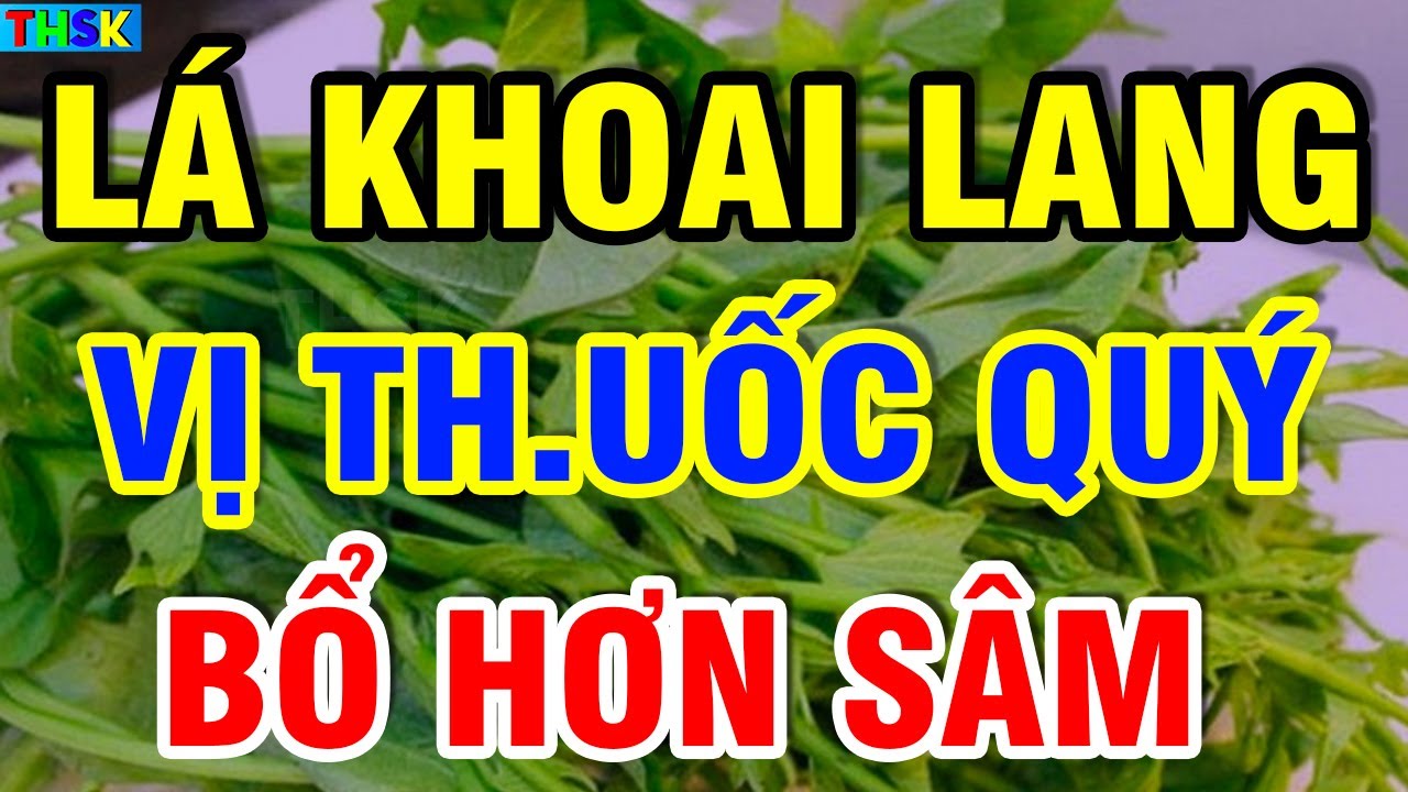 Giáo Sư Tiết Lộ LÁ KHOAI LANG - TH.UỐC QUÝ TRỜI BAN, Bổ G.an Bổ Th.ận, Càng Ăn Càng S.ỐNG THỌ