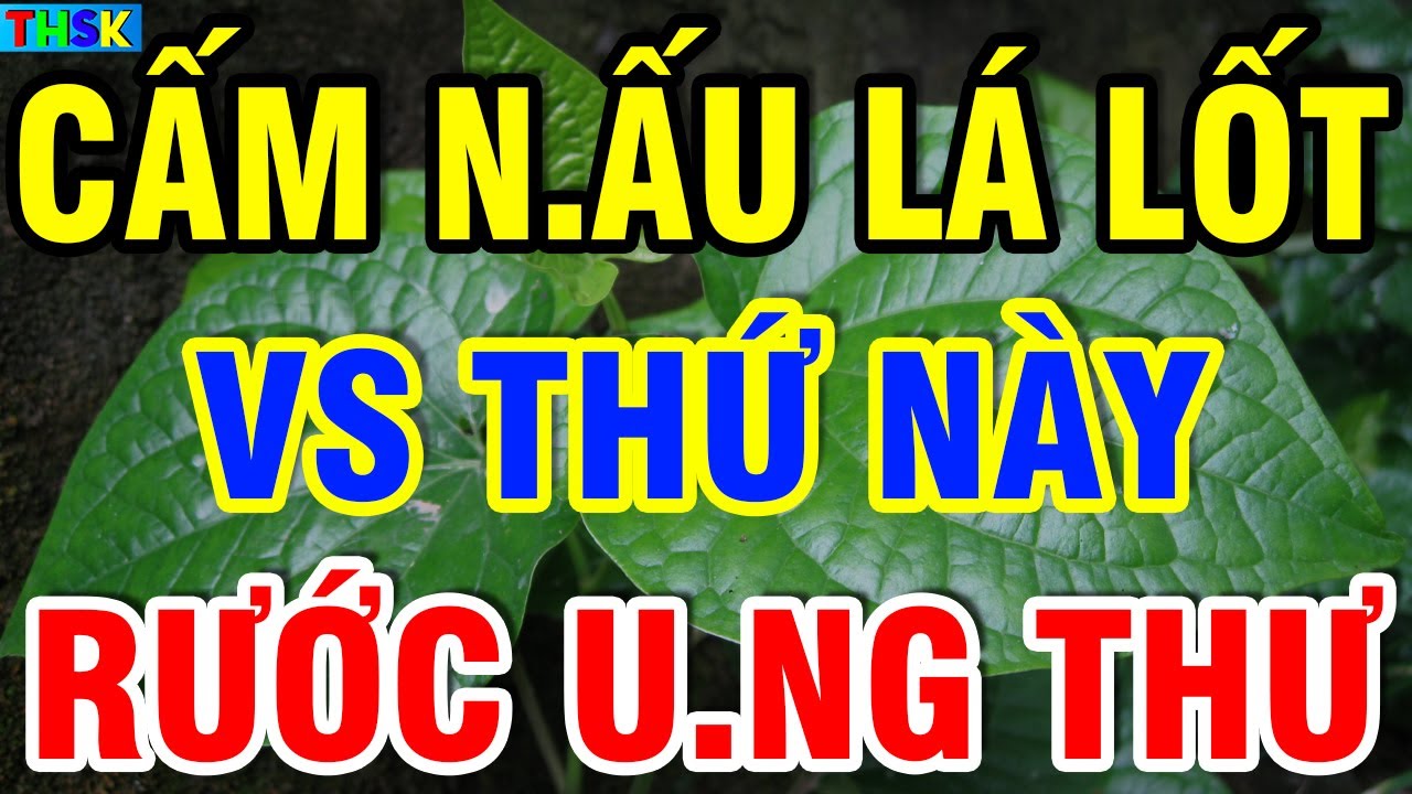 Cấm Nấu Lá Lốt Kiểu Này Kẻo Mất Hết Chất, Ăn Vào SINH B.ỆNH THỌ NON| THSK