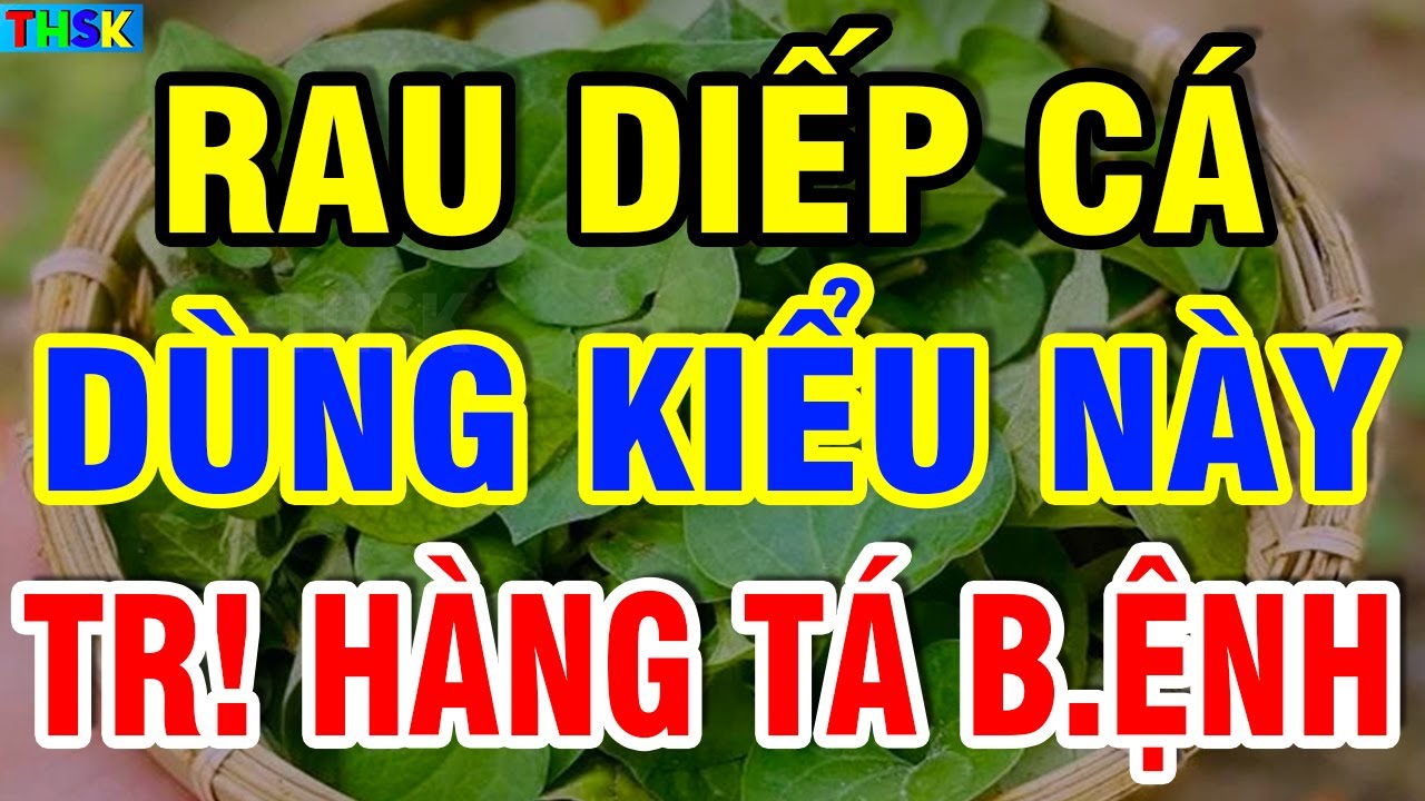 Bất Ngờ: RAU DIẾP CÁ Bổ Hơn Sâm, Dùng Theo Cách Này TRỊ HÀNG TÁ B.ỆNH, Cả Đời Ko Lo UT?| THSK