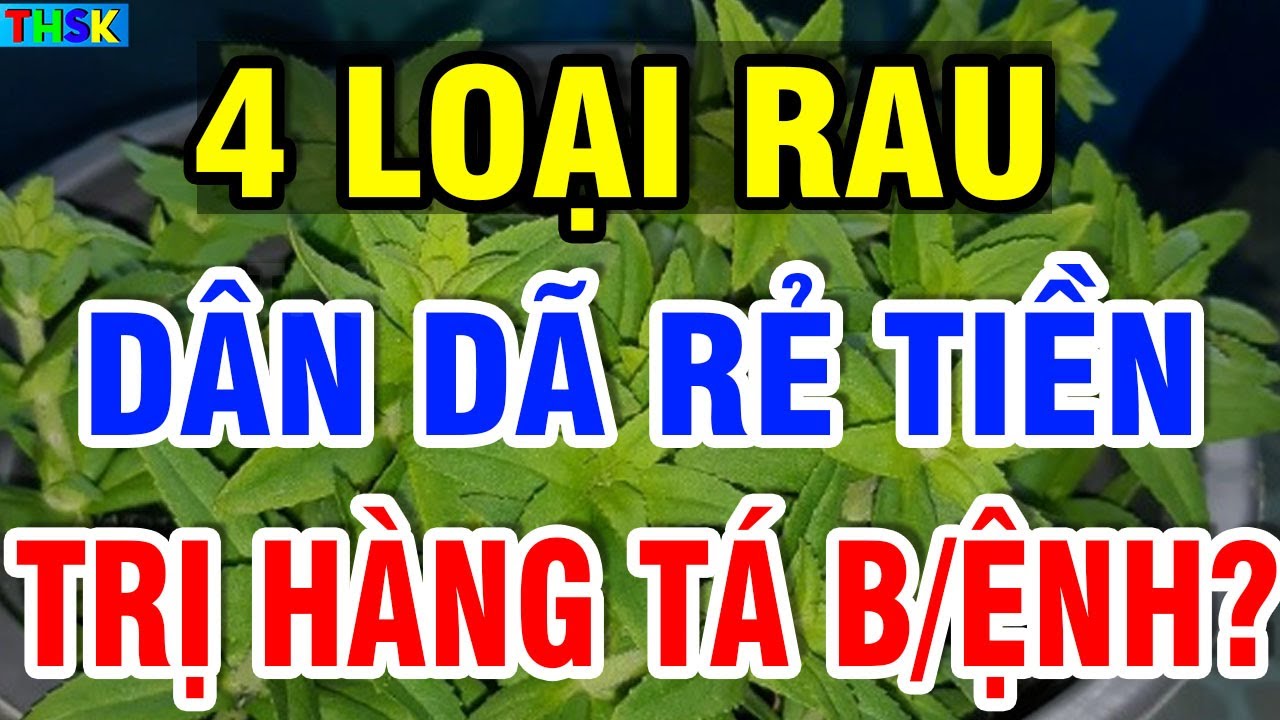 Ai Đi Chợ MUA NGAY 4 LOẠI RAU ĐẠI BỔ NÀY, Càng Ăn Càng Sống Thọ, Trị Hàng Tá B/ệnh?| THSK