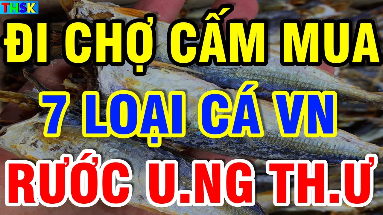 Ai Đi Chợ CẤM MUA 7 LOẠI CÁ Này Kẻo RƯỚC U.NG TH.Ư Về Nhà, Càng Ăn Càng Sinh B.ệnh Thọ Non?| THSK