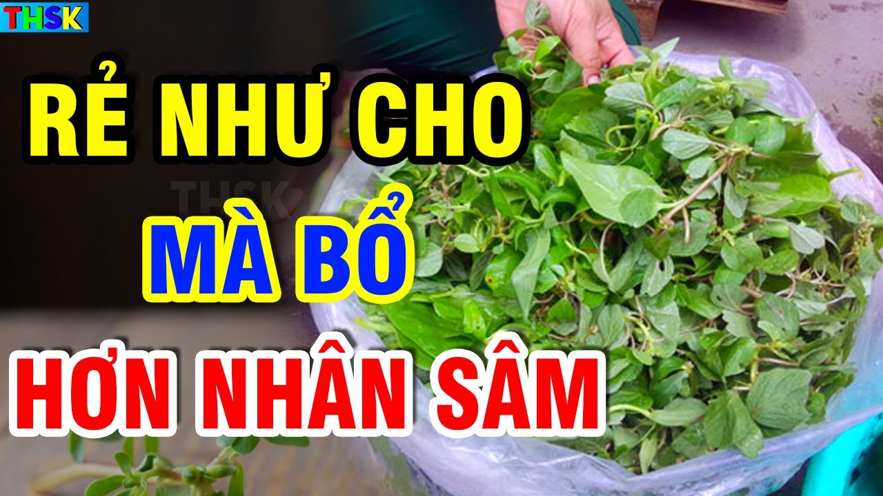 Chỉ Cần Bỏ Ra 2000đ Ăn RAU NÀY, TB U.NG TH.Ư TIÊU BIẾN, SỐNG THỌ 120 Tuổi?| THSK