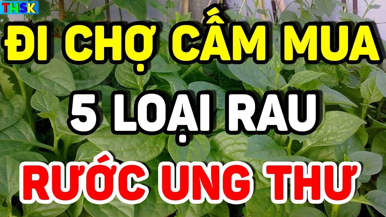 Ai Đi Chợ CẤM MUA 5 Loại Rau Này Kẻo RƯỚC U.NG TH.Ư Về Nhà, Càng Ăn Càng SINH BỆNHH THỌ NON| THSK