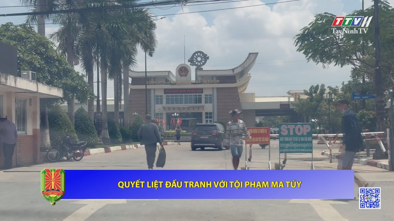 Quyết liệt đấu tranh với tội phạm m*a t*ú/y | AN NINH TÂY NINH | TayNinhTV