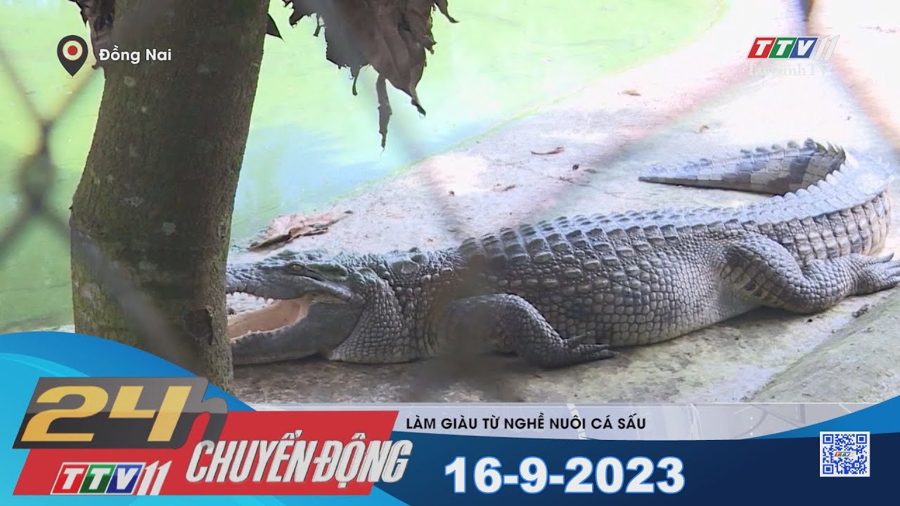 24h Chuyển động 16-9-2023 | Tin tức hôm nay | TayNinhTV