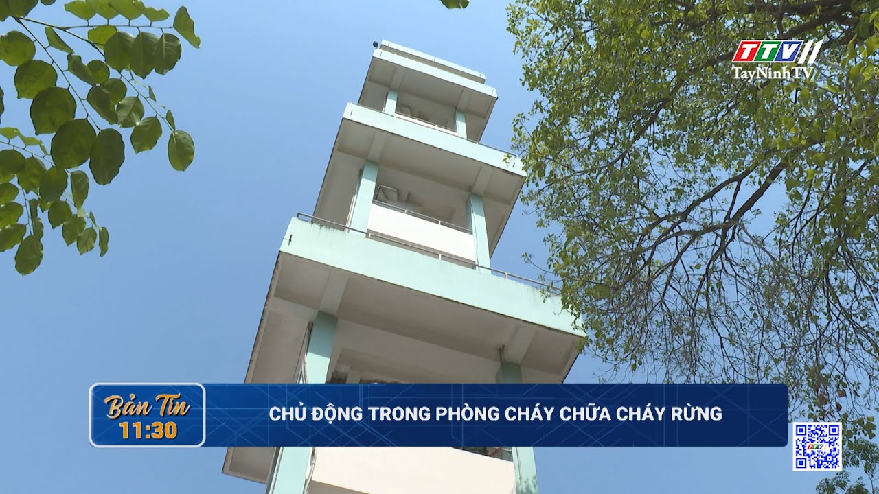 Chủ động trong phòng cháy chữa cháy rừng | TayNinhTV