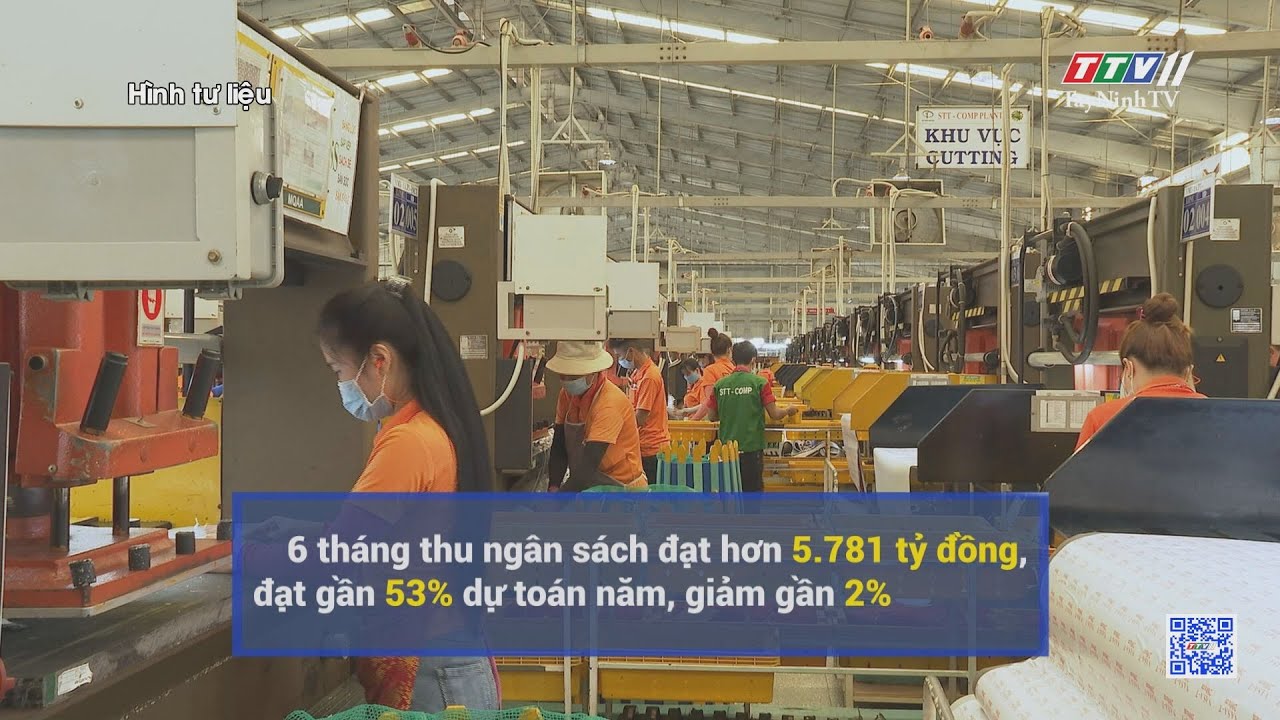 Thu ngân sách đạt gần 53% dự toán | TayNinhTV