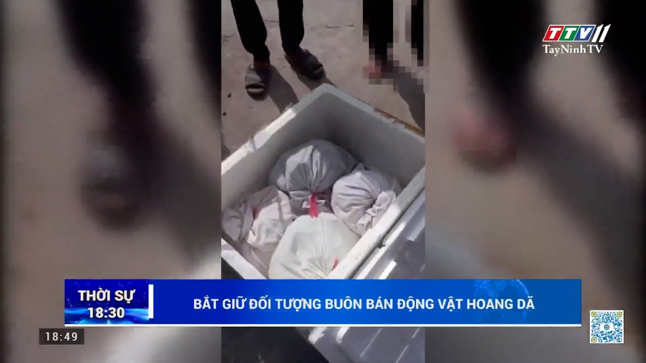 Bắt giữ đối tượng buôn bán đ.ộ.ng v.ậ.t ho.a.ng d.ã | TayNinhTV