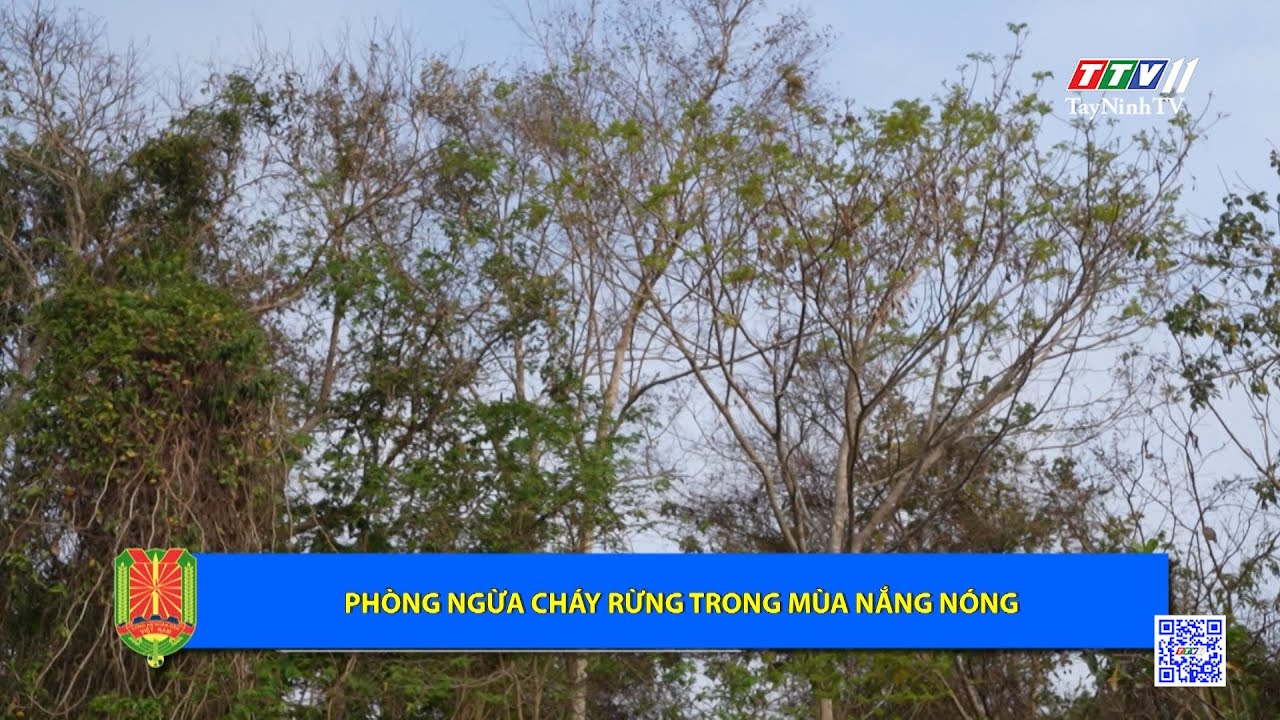 Phòng ngừa cháy rừng trong mùa nắng nóng | An ninh Tây Ninh | TayNinhTV