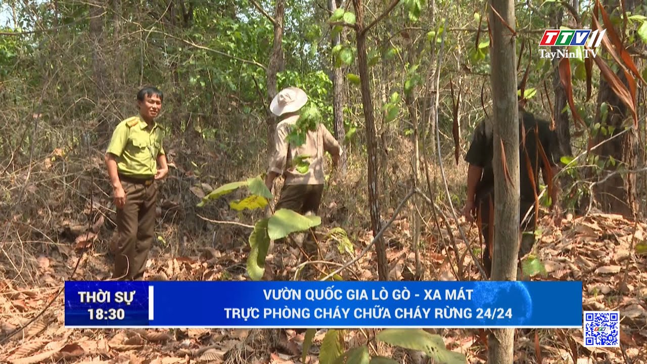 Vườn Quốc gia Lò Gò – Xa Mát: trực phòng cháy chữa cháy rừng 24/24 | TayNinhTV