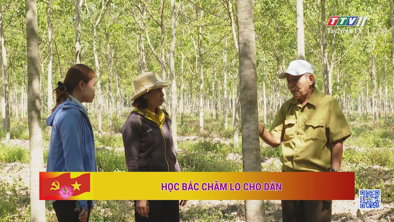 Học Bác chăm lo cho dân | Học tập và làm theo tư tưởng đạo đức, phong cách Hồ Chí Minh | TayNinhTV