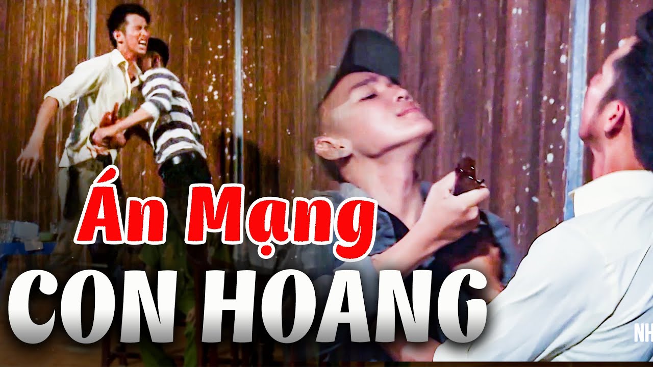 ÁN MẠNG CON HOANG | Truy Tìm Bằng Chứng 2024 | Ký Sự Pháp Đình THVL | Chuyện Cảnh Giác Mới 2024 THVL