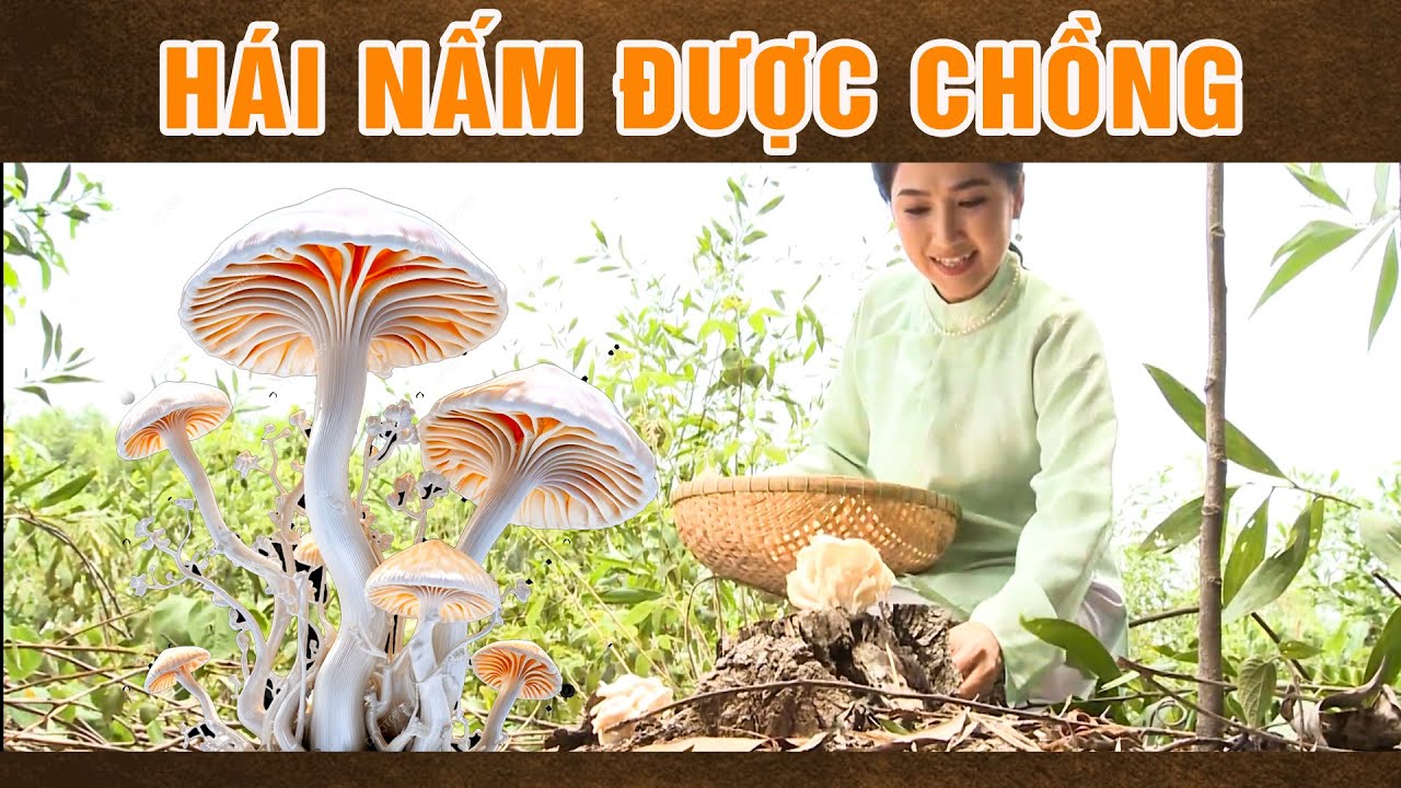 Phim Cổ Tích 2024 | HÁI NẤM ĐƯỢC CHỒNG | Cổ Tích Việt Nam 2024 | Phim Truyện Cổ Tích Việt Nam 2024