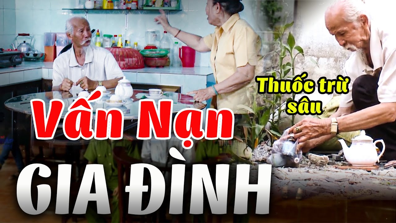 VẤN NẠN GIA ĐÌNH | Truy Tìm Bằng Chứng 2024 | Ký Sự Pháp Đình THVL | Chuyện Cảnh Giác Mới 2024 THVL