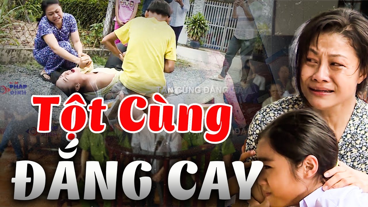 TỘT CÙNG ĐẮNG CAY | Phía Sau Một Phiên Tòa 2024 | Ký Sự Pháp Đình THVL | Chuyện Cảnh Giác Mới THVL