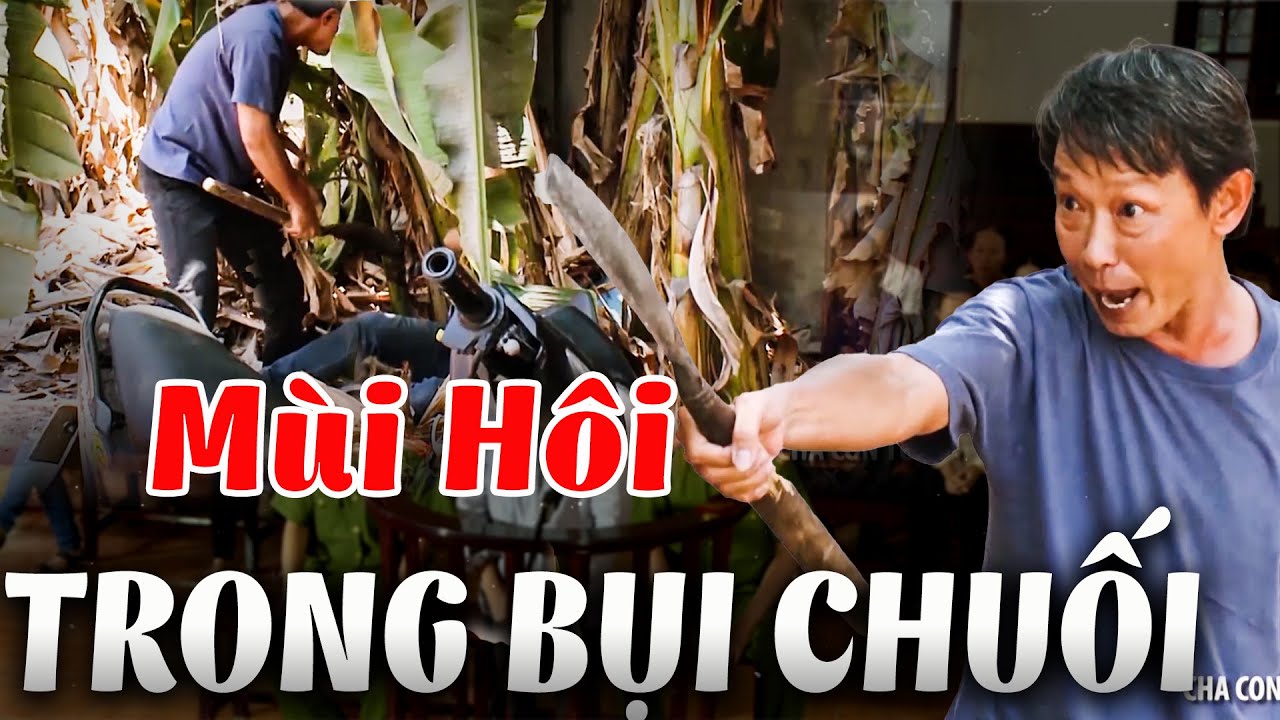 MÙI HÔI TRONG BỤI CHUỐI | Truy Tìm Bằng Chứng 2024 | Ký Sự Pháp Đình THVL | Chuyện Cảnh Giác Mới