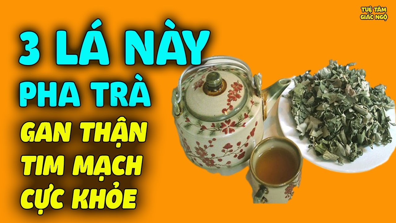 Ra Vườn Hái 3 Loại Lá Này Pha Trà CỰC KHỎE GAN THẬN, TIM MẠCH Lại Kéo Dài Tuổi Thọ