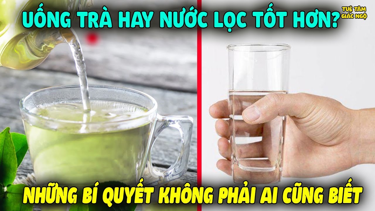 Uống TRÀ HAY NƯỚC LỌC TỐT CHO SỨC KHỎE HƠN? Những Bí Quyết Không Phải Ai Cũng Biết