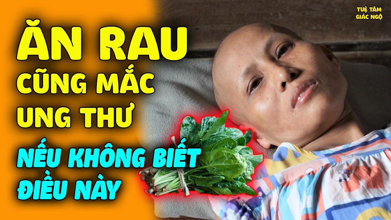 Ăn Rau Cũng Mắc Ung Thư Nếu Không Biết Điều Này, Cực Nguy Hiểm Ai Cũng Nên Biết