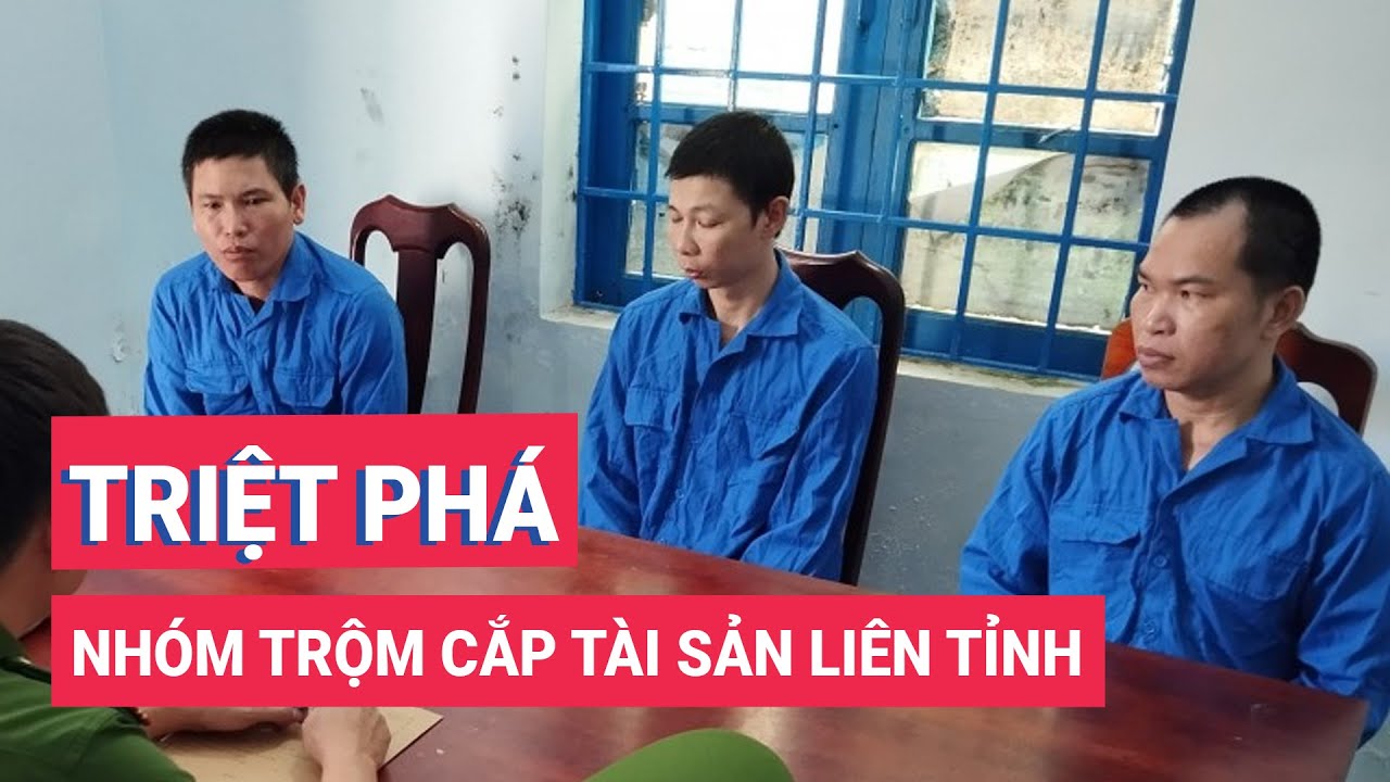 Triệt phá 1 nhóm thực hiện hàng chục vụ trộm cắp tài sản liên tỉnh