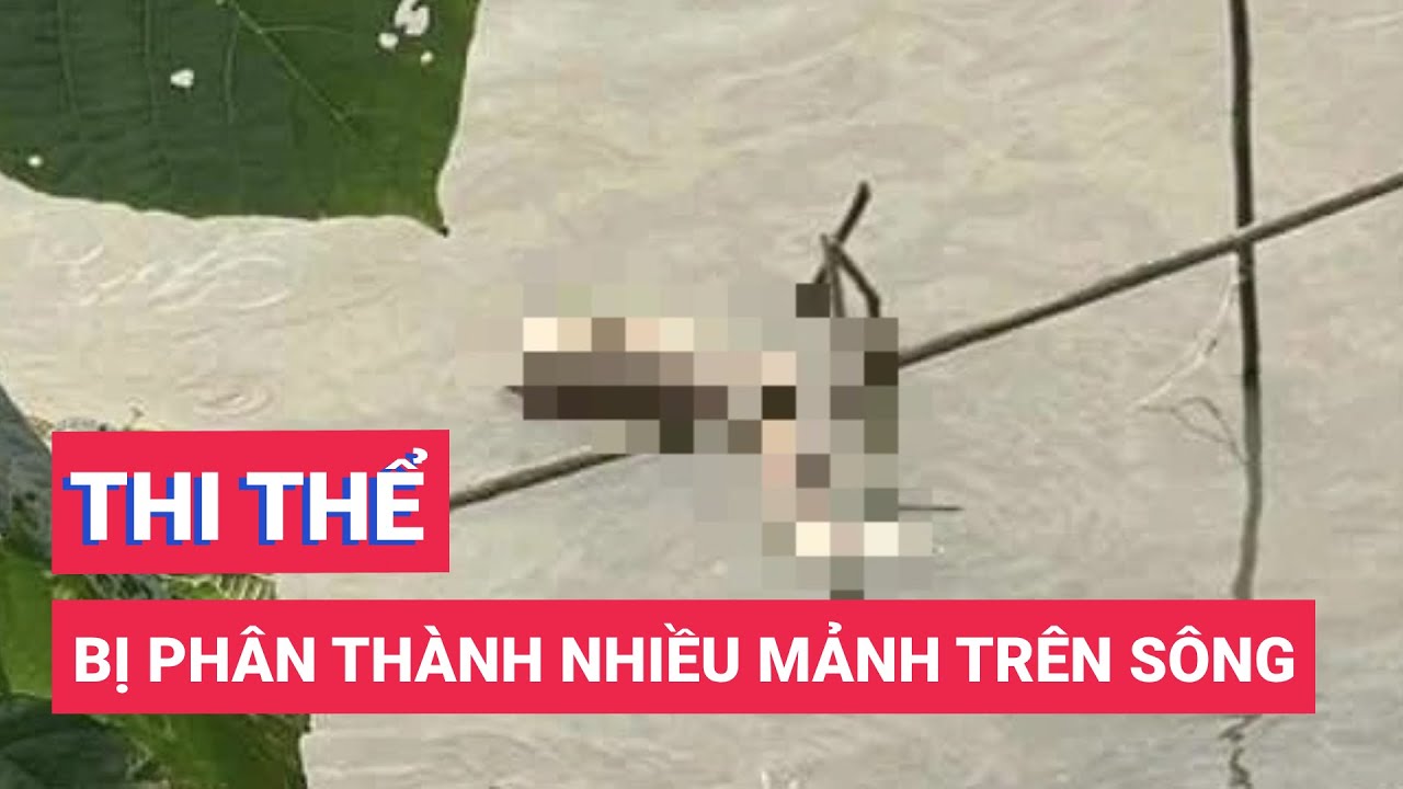 Phát hiện thi thể phụ nữ bị phân thành nhiều mảnh trôi nổi trên sông Hồng