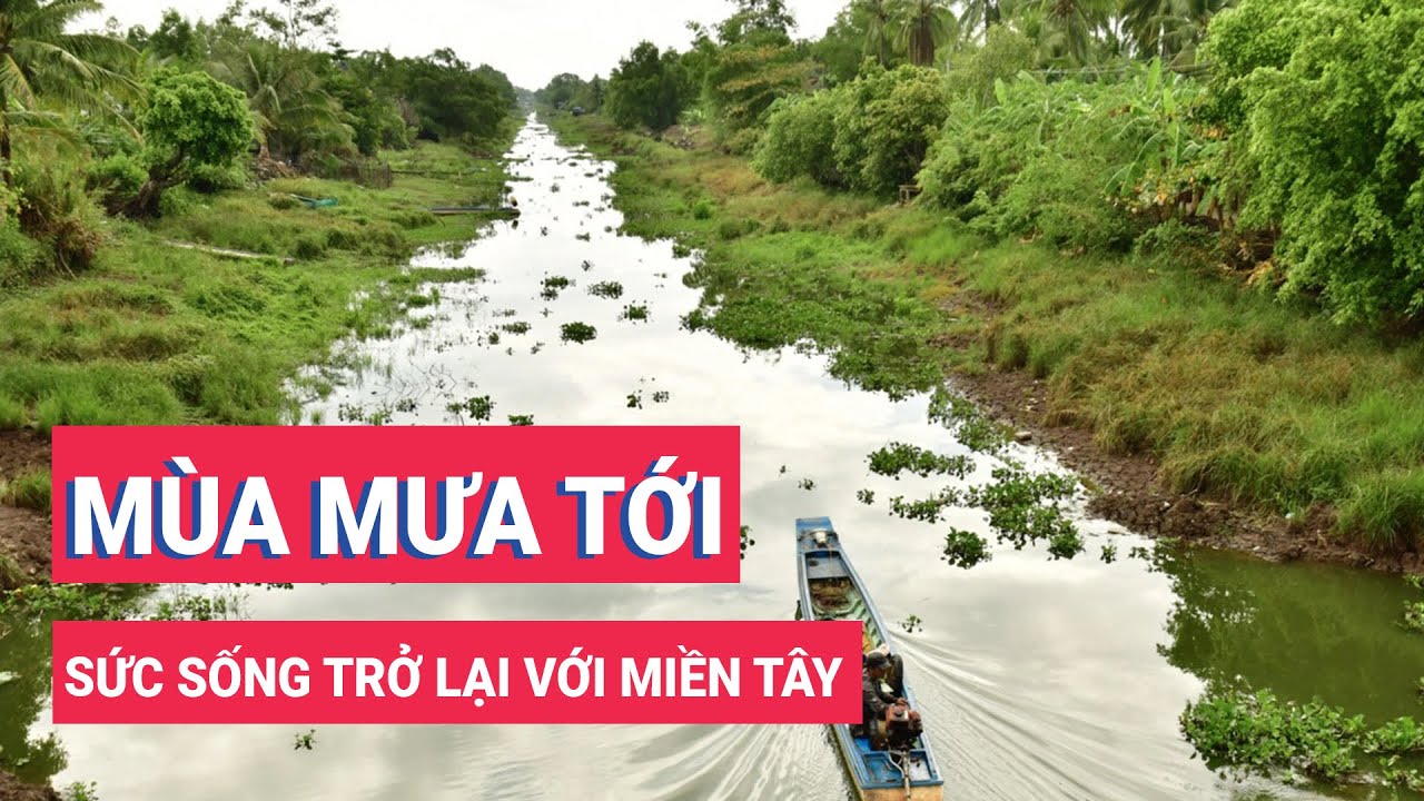 Mùa mưa tới, sức sống trở lại với miền Tây