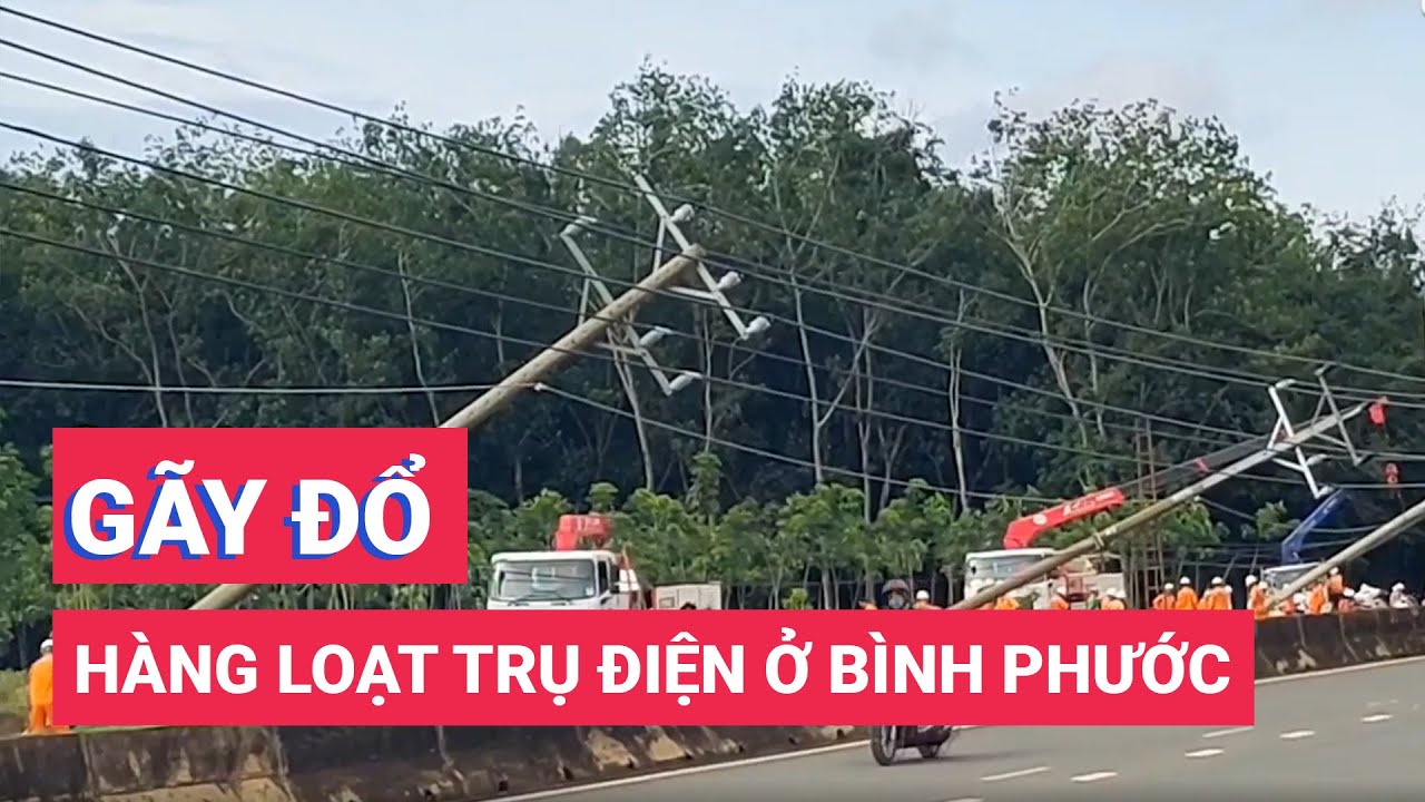 Bình Phước: Hàng loạt trụ điện trên đường ĐT.741 bất ngờ gãy, đổ