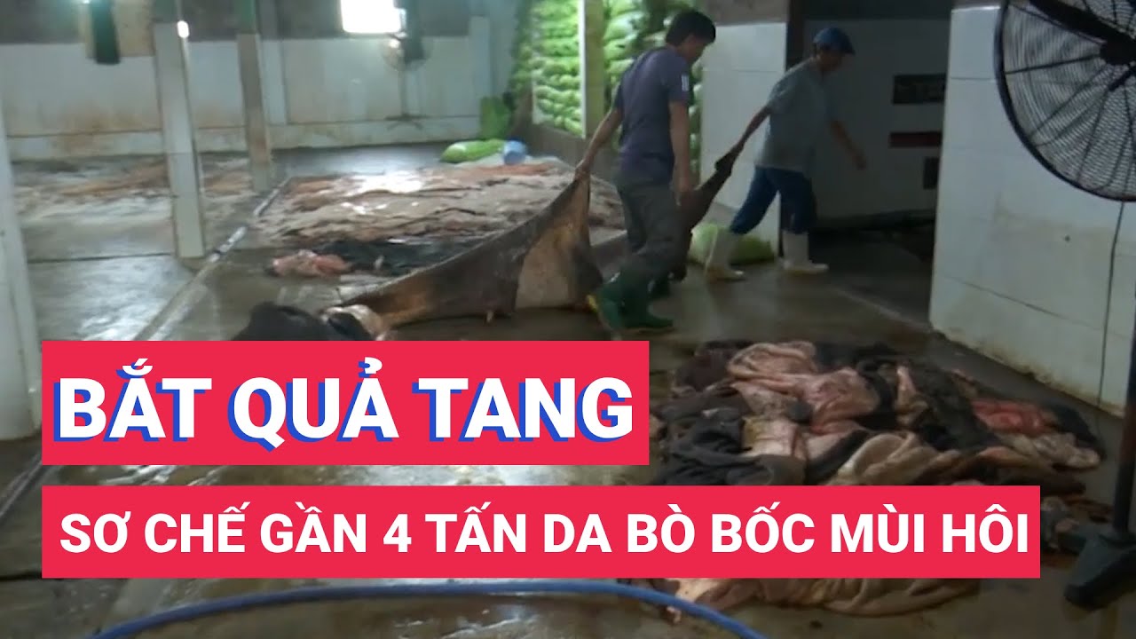 Bắt quả tang cơ sở sơ chế gần 4 tấn da bò bốc mùi hôi thối