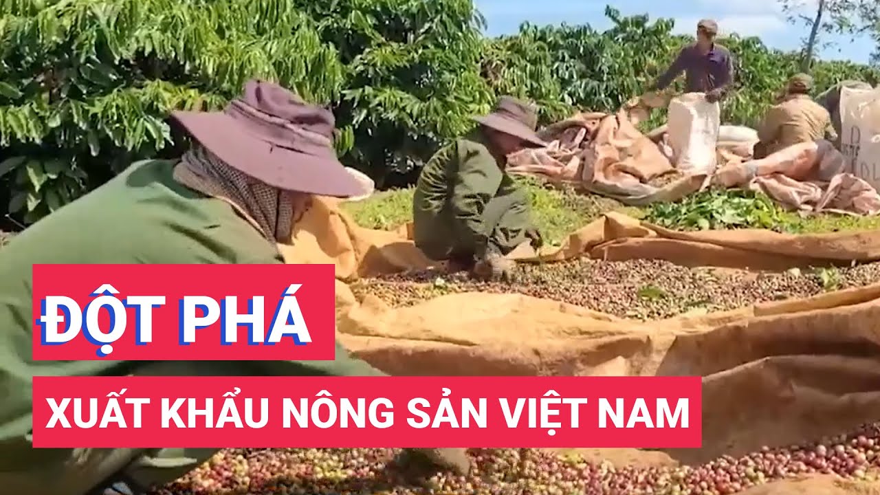 Đột phá xuất khẩu nông sản Việt Nam