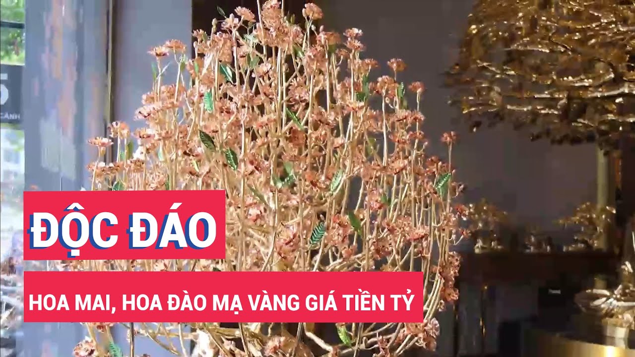 Độc đáo cây hoa mai, hoa đào mạ vàng giá tiền tỷ