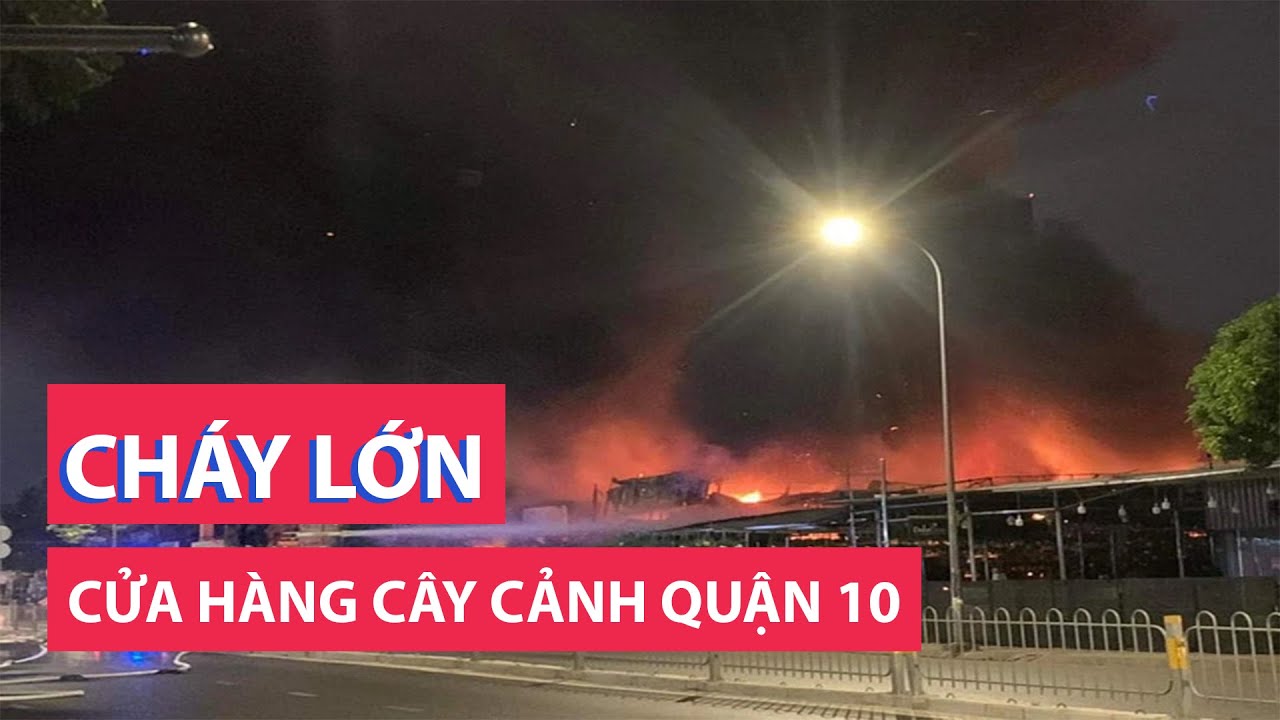 Cháy cửa hàng cây cảnh ở quận 10 lúc rạng sáng