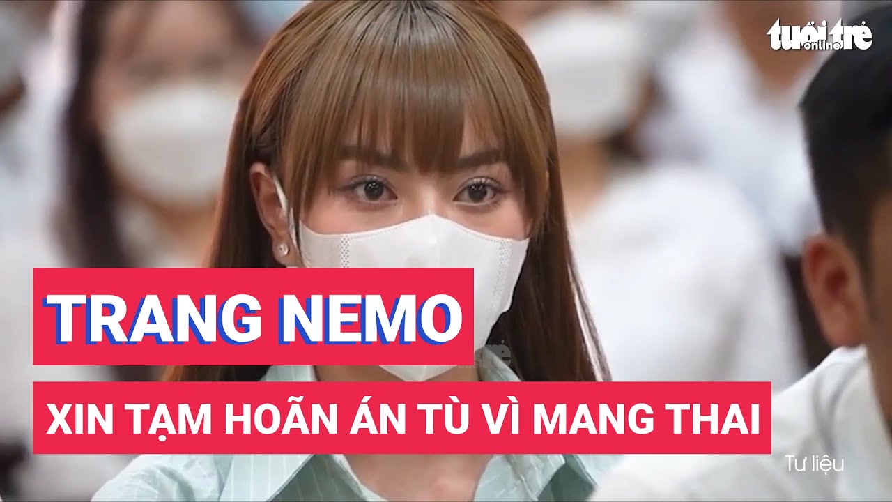 Trang Nemo xin tạm hoãn thi hành án vì mang thai