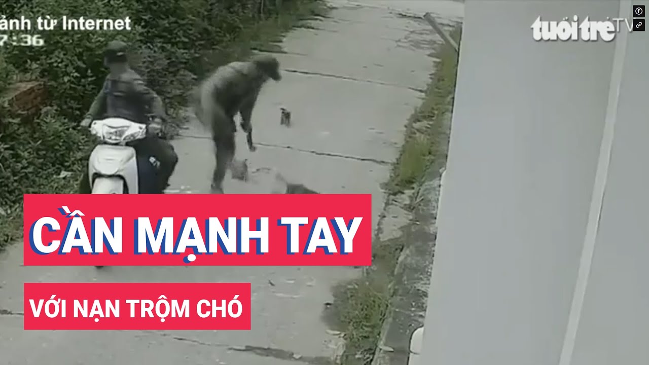 Cần mạnh tay với nạn trộm chó