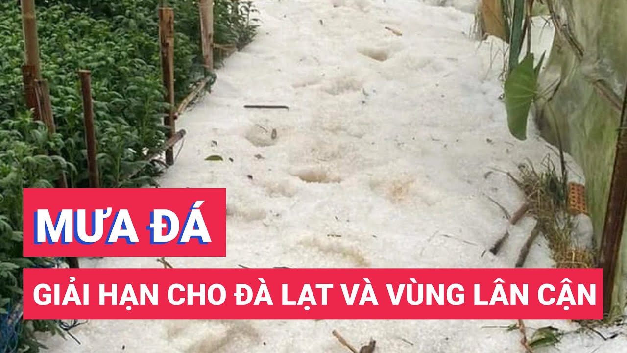 Trận mưa đá giải hạn cho Đà Lạt và vùng lân cận